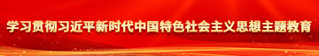 女主播叼这丝袜撒尿的视频学习贯彻习近平新时代中国特色社会主义思想主题教育